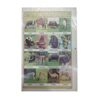 Sticker Chart - Herbivorous Animals