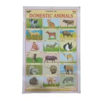 Chart - Domestic Animals