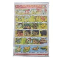 Sticker Chart - Young Animals & birds