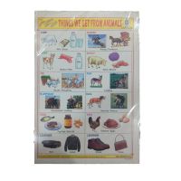 Sticker Chart - Things We Get From Animals