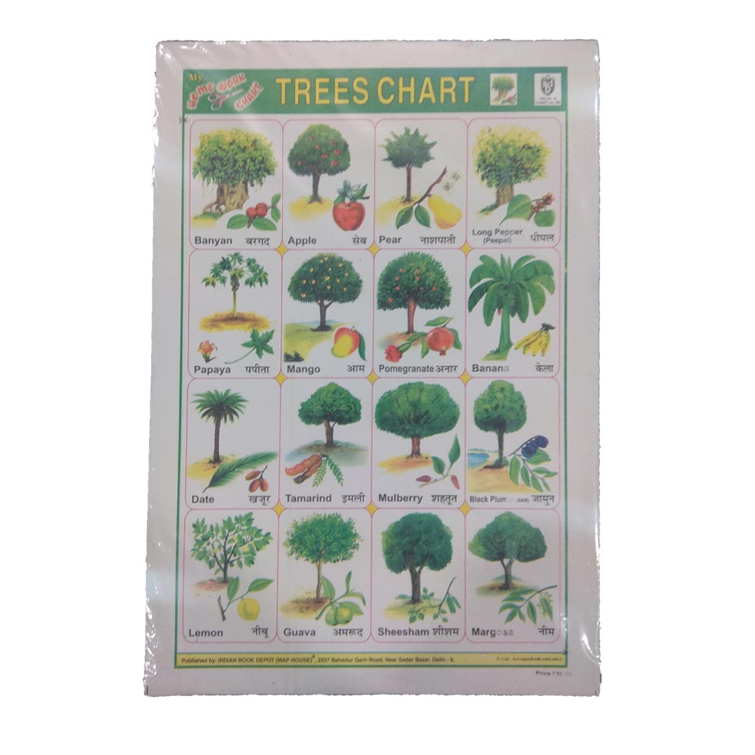 Sticker Chart - Trees