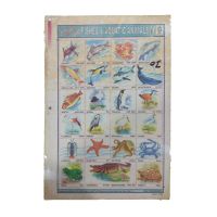 Sticker Chart - Fishes & Aquatic Animals