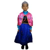 Anna Cartoon Character Dress for Kids SRC5613 - Small